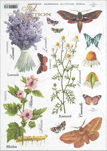 Ryžový papier - A4 - lúčne bylinky - motív R0404