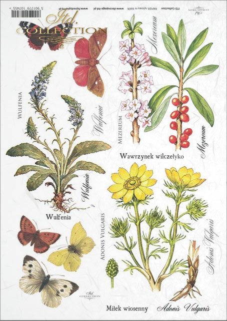 Ryžový papier - A4 - lúčne bylinky - motív R0406