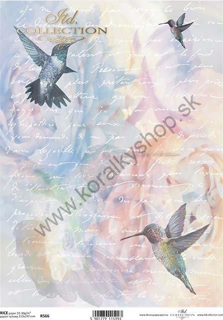 Ryžový papier - A4 - pastelová tapeta, kolibrík - motív R0566