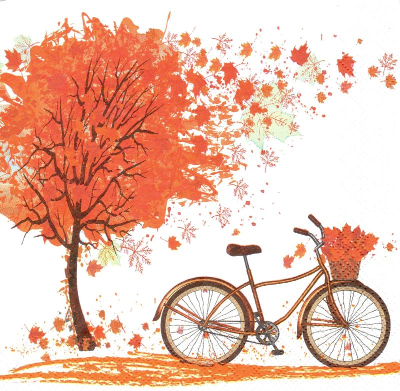 Servítka - kvety - motív č. 203 - bicykel