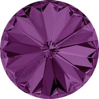 Swarovski elements RIVOLI 1122 - SS 47 (10 mm) - Amethyst F