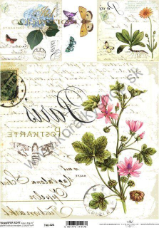 Transferový papier SOFT - A4 - bylinky - T40-024