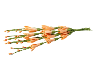 Penové kvety na stonke - oranžová - 1 zväzok/9 ks