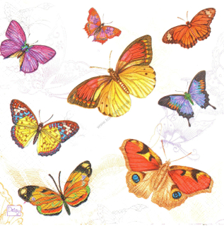 Servítka - motýle - motív č. 42