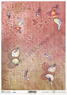 Ryžový papier - A4 - vtáky - motív R1547