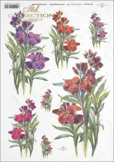 Ryžový papier - A4 - kvety - motív R0390