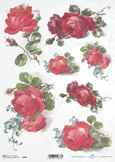 Ryžový papier - A4 - ruže - motív R0646