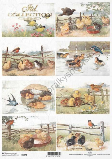 Ryžový papier - A4 - vtáky - motív R1071