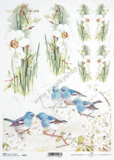 Ryžový papier - A4 - vtáky, kvety - motív R0653