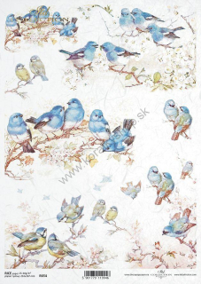 Ryžový papier - A4 - vtáky - motív R0654
