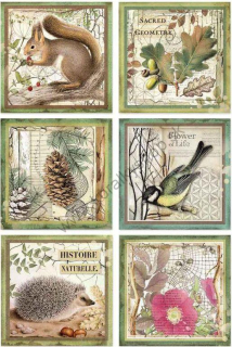 Ryžový papier - A4 - Forest frames animals