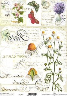 Transferový papier SOFT - A4 - pohľadnica bylinky - T40-021