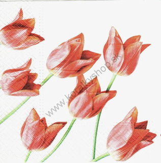Servítka - motív č. 124 - tulipány