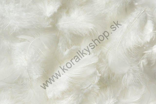 Jemné dekoračné perie - dĺžka 4 - 5 cm - biela - 5 g