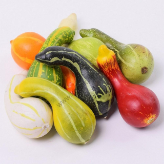 Dekorácia plody - tekvice mix - plast - 8 ks