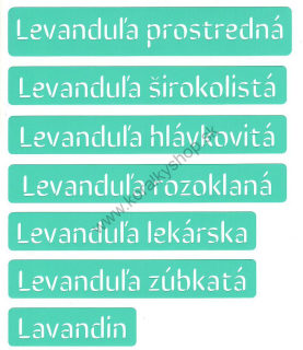 Samolepiaca šablóna - 16,5 x 3 cm - nápis levanduľa - 7 v 1