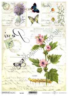 Transferový papier SOFT - A4 - bylinky - T40-022
