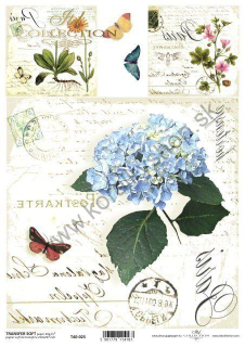 Transferový papier SOFT - A4 - bylinky - T40-025