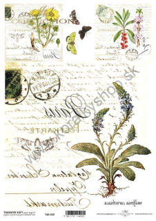 Transferový papier SOFT - A4 - bylinky - T40-032