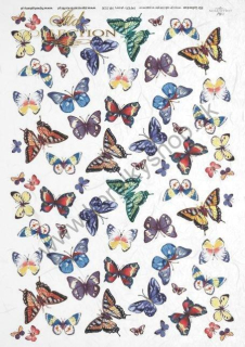 Ryžový papier - A4 - motýle - motív R0230