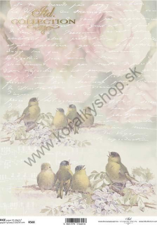 Ryžový papier - A4 - pastelová tapeta, vtáci - motív R0568
