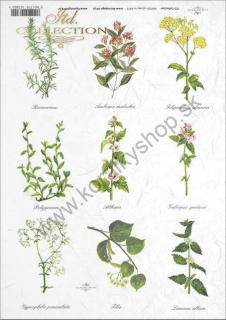 Ryžový papier - A4 - lúčne bylinky - motív R0401
