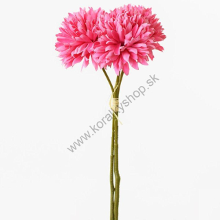 Kvety chryzantéma - ružová - 21 cm