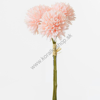 Kvety chryzantéma - marhuľová - 21 cm