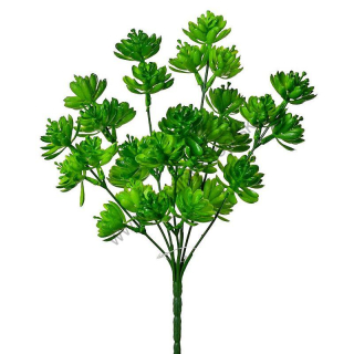 Kvety zápich sukulent - zelená - 35 cm