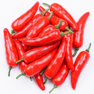 Papričky chilli - 6,5 cm - 5 ks