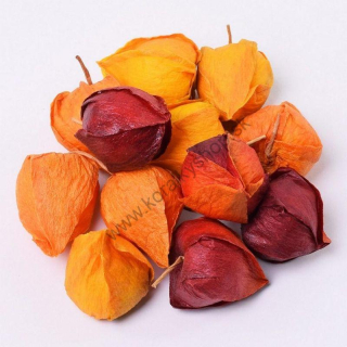 Prírodné plody machovka -  oranžová - 12 ks