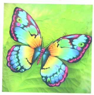 Diamantové maľovanie - 15x15cm - motýľ
