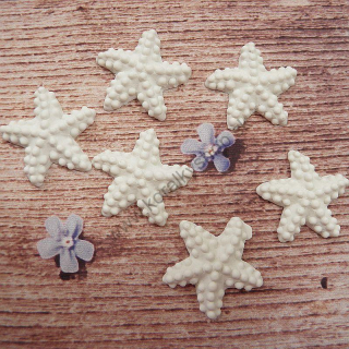 Plastová dekorácia - pr. 2,7 cm - morská hviezdica - 6 ks/bal.
