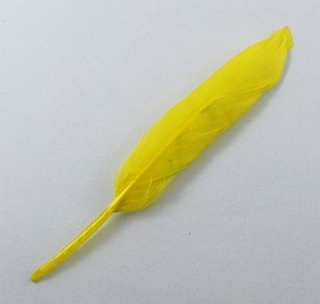 Kačacie pierka - žltá - 10 ks